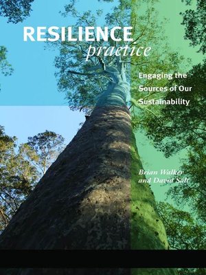 cover image of Resilience Practice